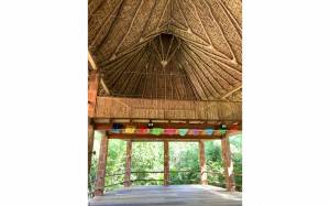 Coline  MARGUIN - COLORAMA DESIGN