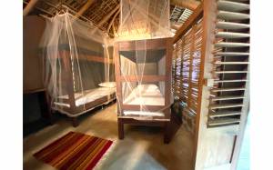 Coline  MARGUIN - COLORAMA DESIGN